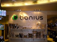 ����������� ������� - ���������� ������ � �������� �Banius�